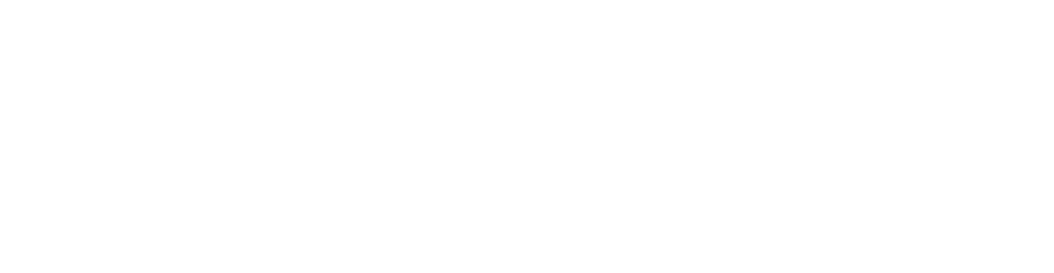 NexaCTF